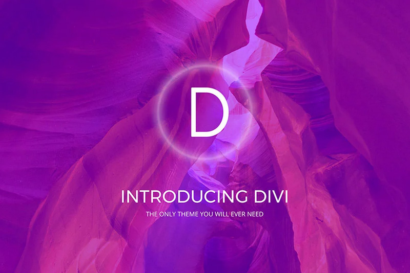 DIY Websites With Divi By Elegant Themes